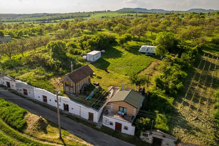 Vinařství Sedlec u Mikulova – prodej – fotka 3