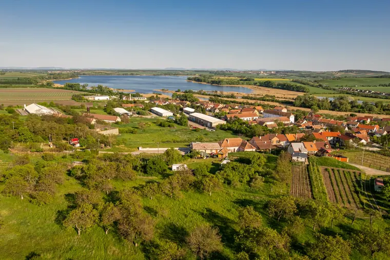 Vinařství Sedlec u Mikulova – prodej – fotka 5