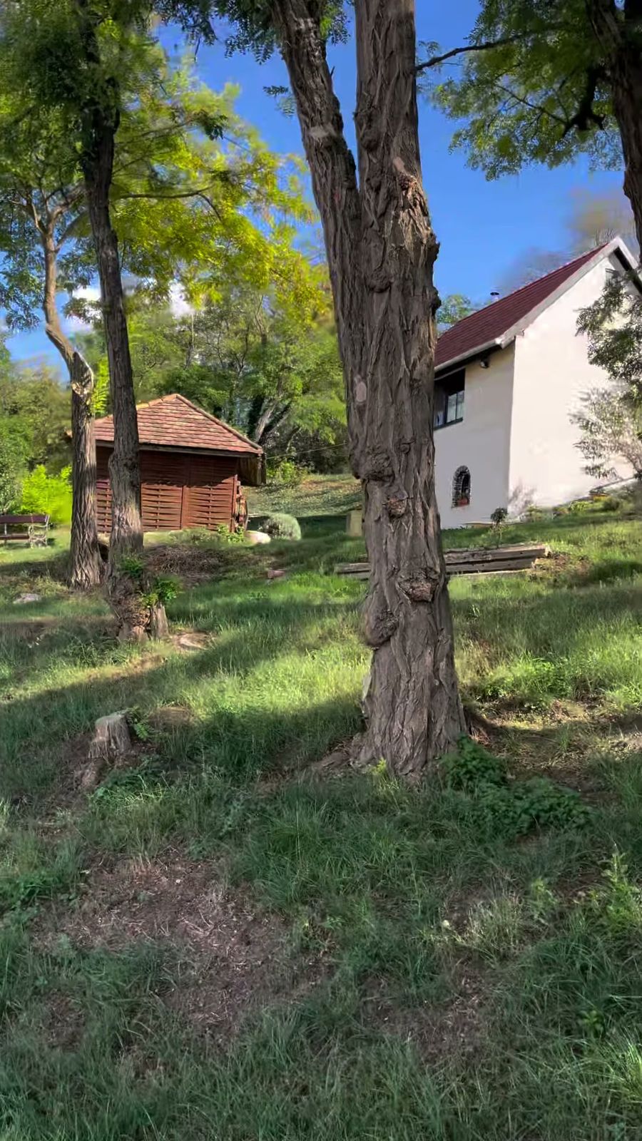 Bílý sklep s červenou střechou mezi akáty